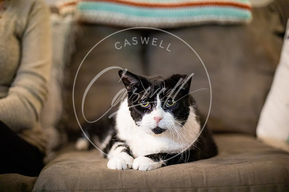 Pet_Project_Print-198