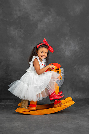 Rocking Horse