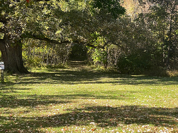 Crockery Creek 7