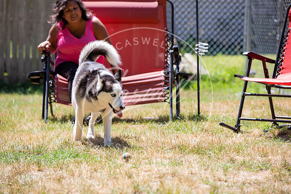 Pet_Project_Print-149