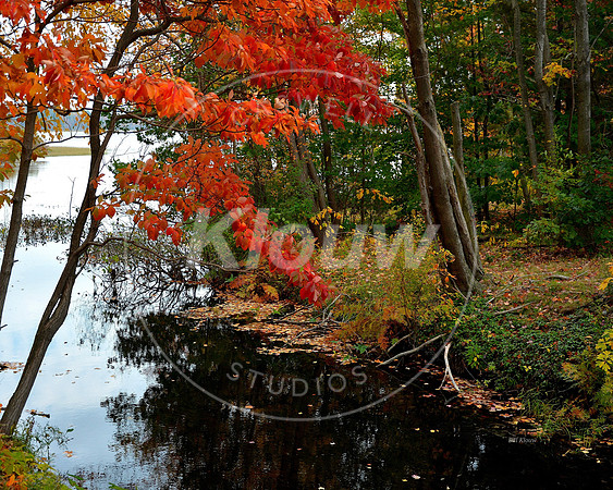 DSC_2850 (2) 2