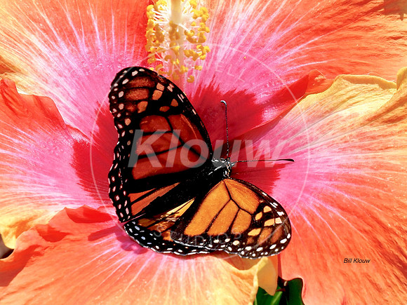 P8210014
