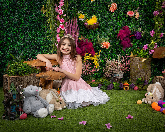 Kitten-12