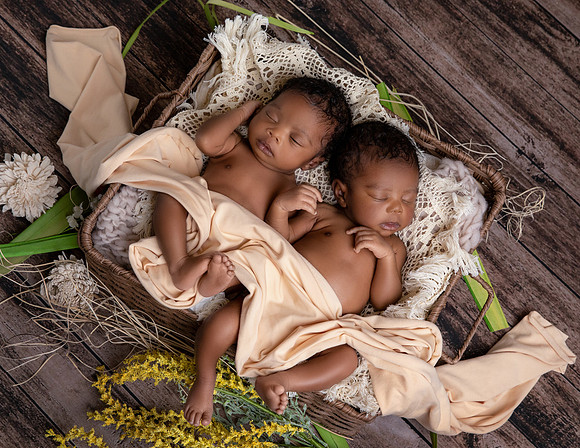 Twins-2