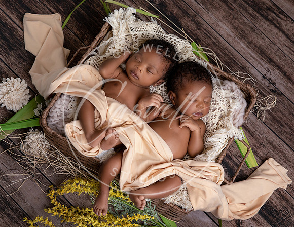 Twins-2