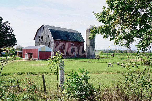 _DSC2402