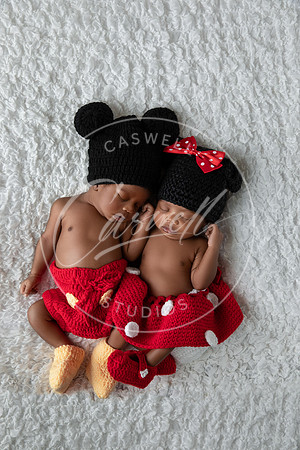 Twins-3