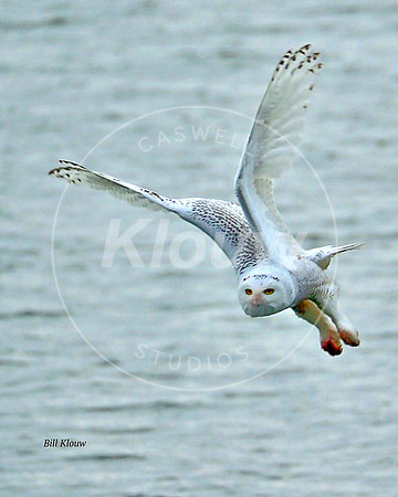 PC070456 copy