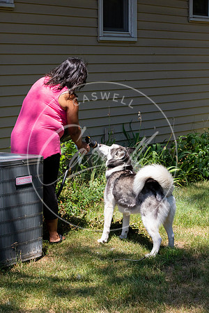 Pet_Project_Print-125