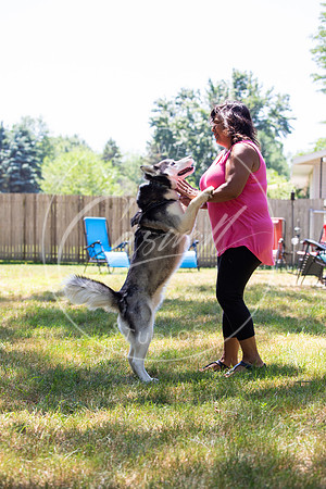 Pet_Project_Print-144