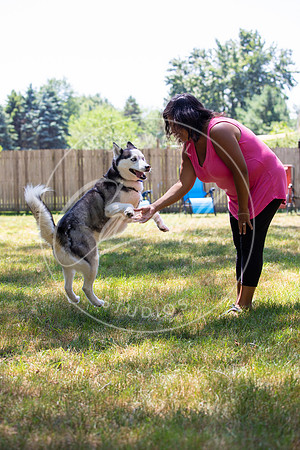 Pet_Project_Print-140