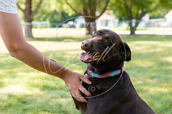 Pet_Project_Print-20