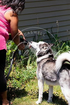 Pet_Project_Print-127