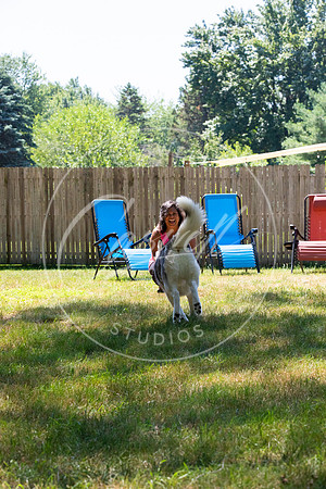 Pet_Project_Print-131