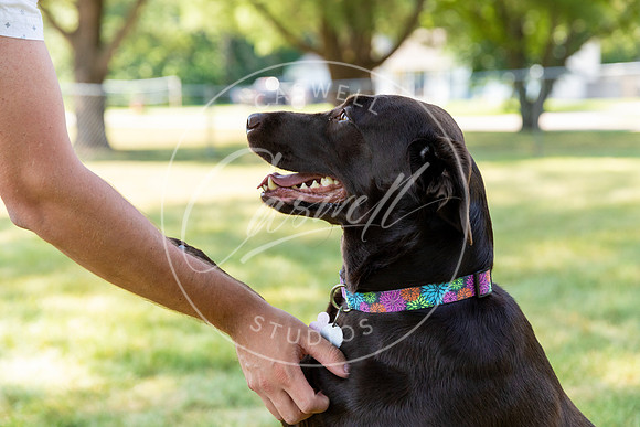 Pet_Project_Print-19