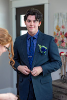 Prom-3