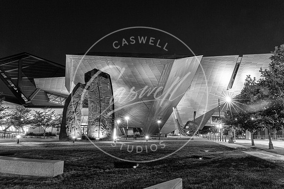 Rock of the Denver Museum BW