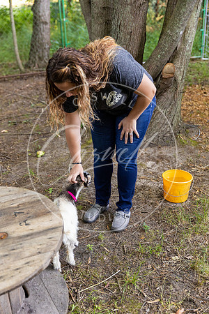 Pet_Project_Print-65