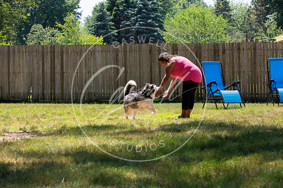 Pet_Project_Print-134