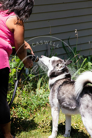 Pet_Project_Print-128