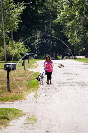 Pet_Project_Print-155