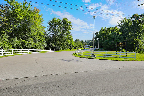 P_Meadows-2