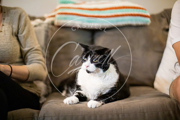 Pet_Project_Print-200