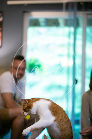 Pet_Project_Print-223