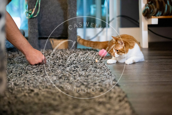 Pet_Project_Print-168