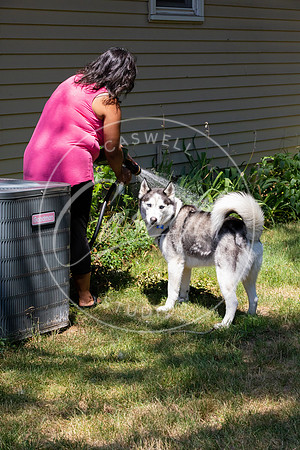 Pet_Project_Print-126