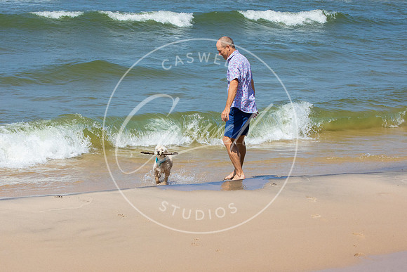 Pet_Project_Print-112