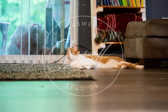 Pet_Project_Print-216