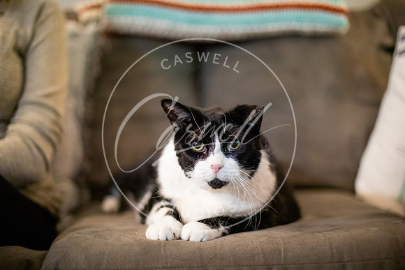 Pet_Project_Print-197