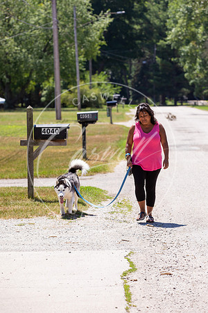 Pet_Project_Print-156