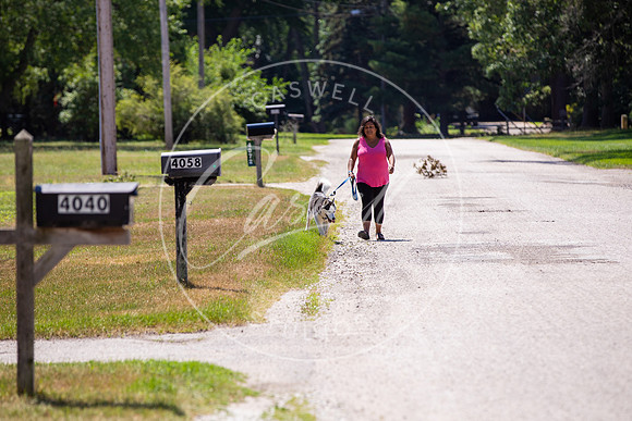 Pet_Project_Print-154