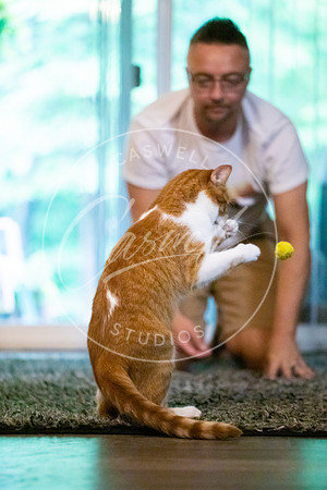 Pet_Project_Print-227