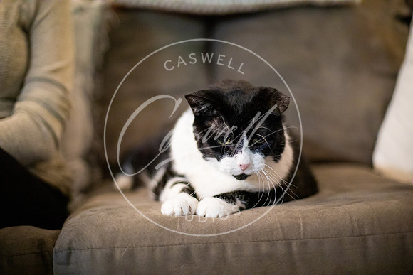 Pet_Project_Print-196