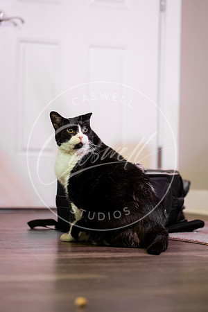 Pet_Project_Print-213