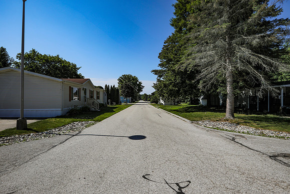 P_Meadows-29