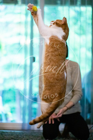 Pet_Project_Print-225