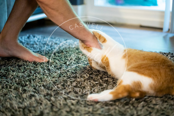 Pet_Project_Print-214