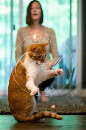 Pet_Project_Print-219